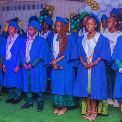 havard success story